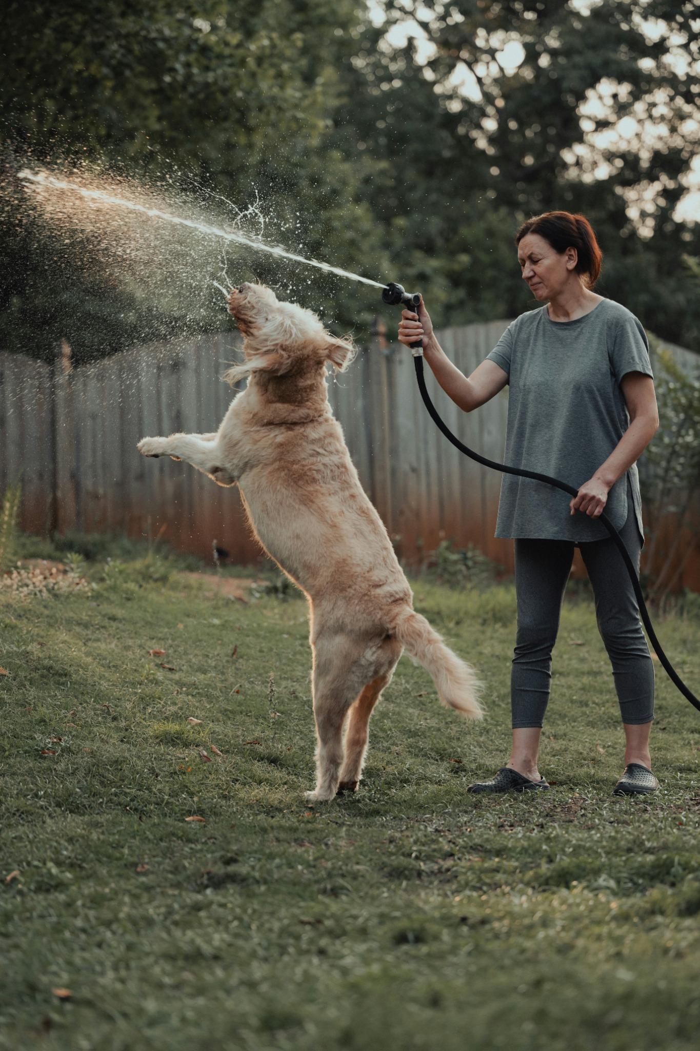 The Secret to Easier Gardening Starts With the Right Hose Nozzle
